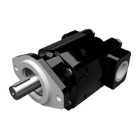 Cast Iron Pumps - PGP350 Series